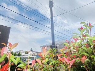 プチメゾン東戸倉の物件内観写真